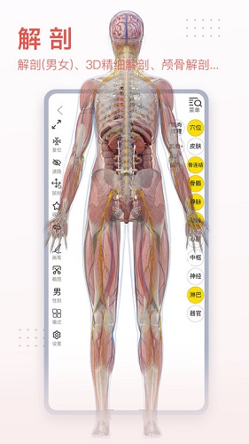 3dbody解剖图最新破解版